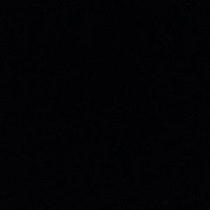 Meet your Posher, Nickie